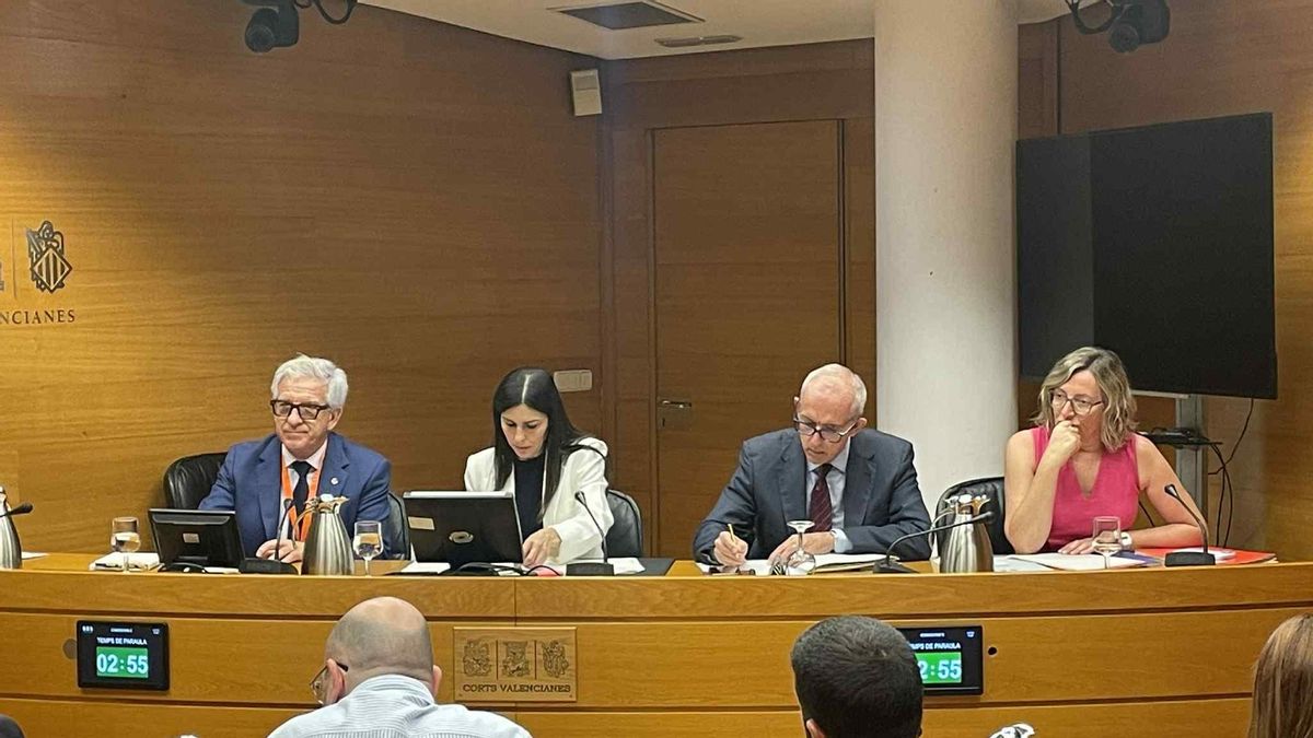 Javier Machi, a la izquierda en la comisión de investigación de la DANA en las Corts.