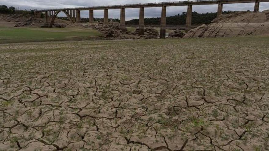 El embalse de Ricobayo esta semana. Imagen cedida por uno de los alcaldes.