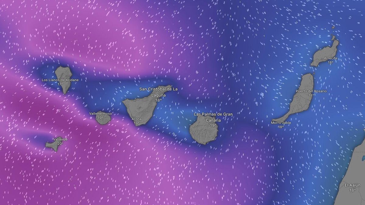 Mapa del oleaje esperado en Canarias este domingo. Los colores más cálidos indican olas de más de 2 metros.