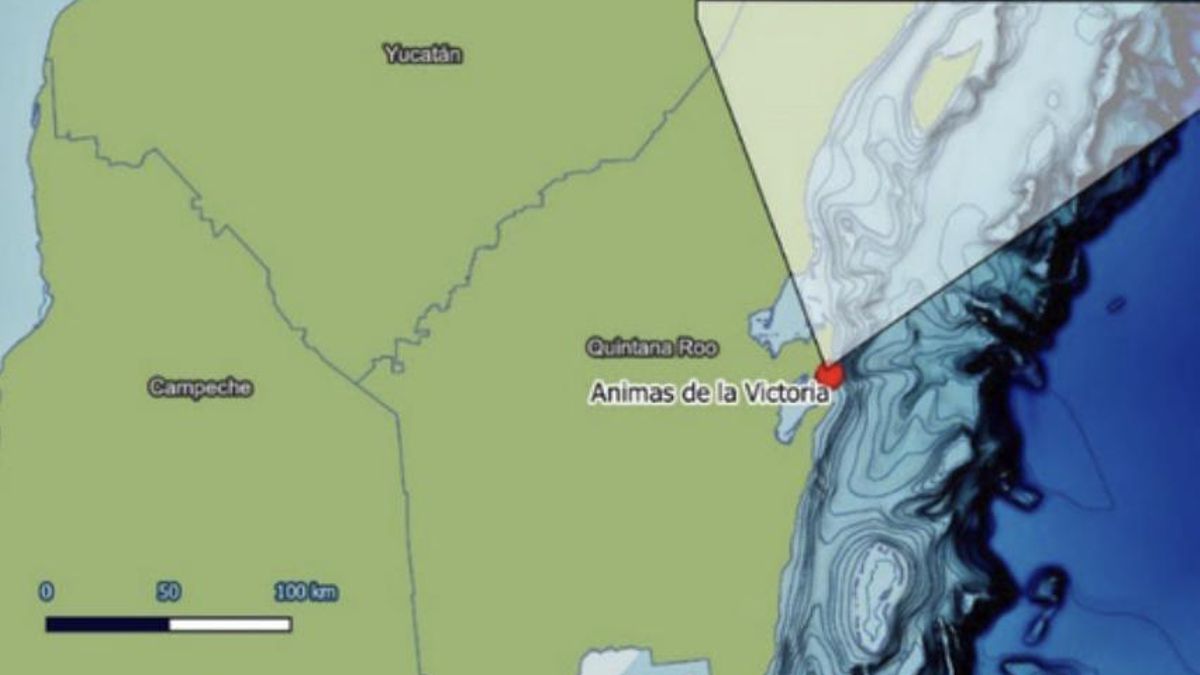 La distribución de los restos muestra una maniobra desesperada