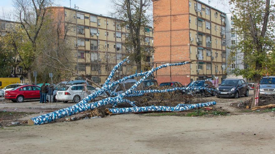 Ampparito en San Cristóbal de los Ángeles, festival Circular