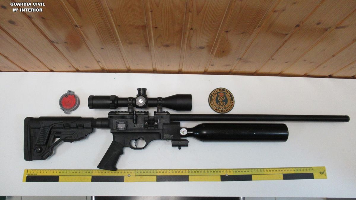 La Guardia Civil investiga a un hombre que disparó con una escopeta a un gato en un pueblo de Ávila