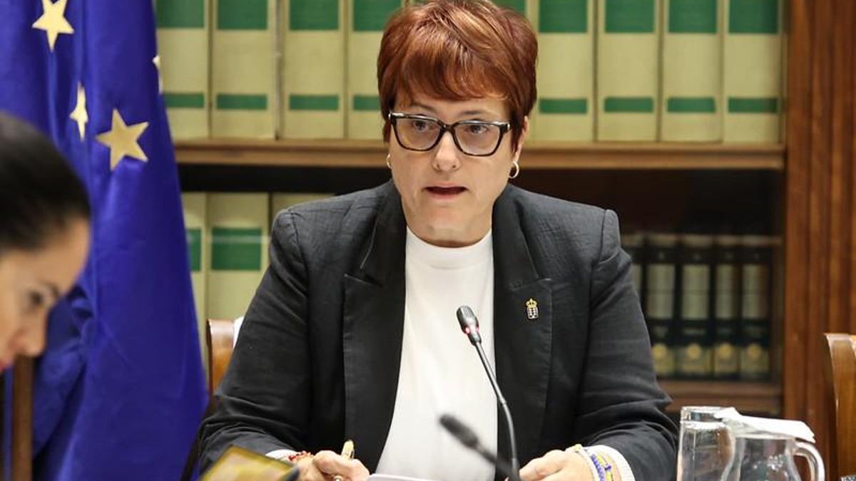 La consejera de Bienestar Social de Canarias, Candelaria Delgado en comisión parlamentaria.