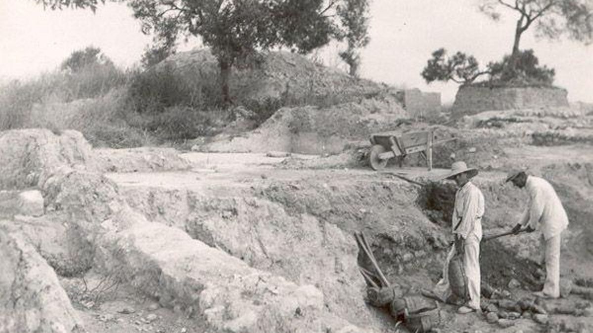 Manuel Esteve, en una de las zonas de excavación
