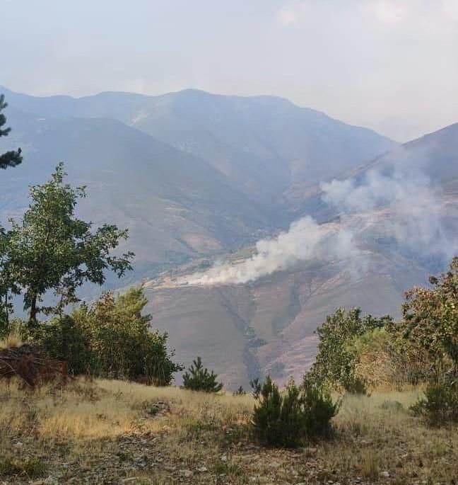 Imagen final del nuevo incendio forestal cerca de Colinas del Campo, situado al sur del pueblo.
