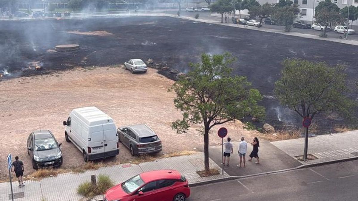 Exculpan al Ayuntamiento de Córdoba del incendio de un coche en un solar municipal que estaba sin desbrozar