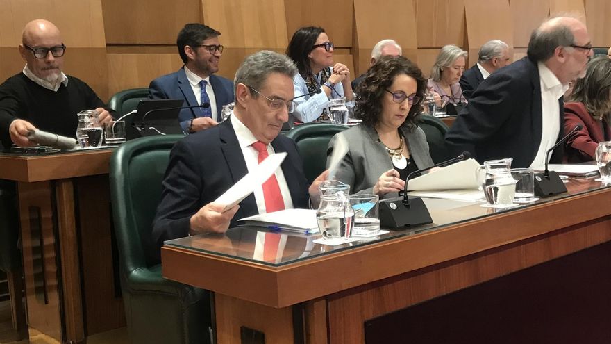 La candidata por Vox en Zaragoza que criticó a Abascal aceptará el acta de Julio Calvo, aunque fuera de este grupo