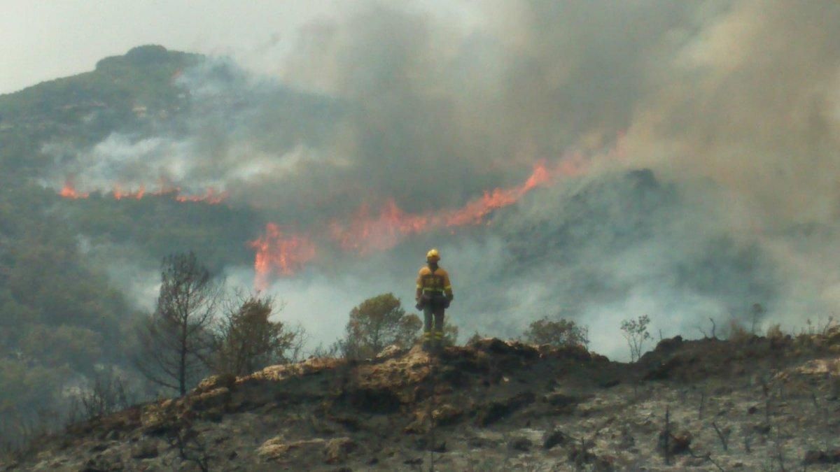 Un bombero observa la zona arrasada por el fuego