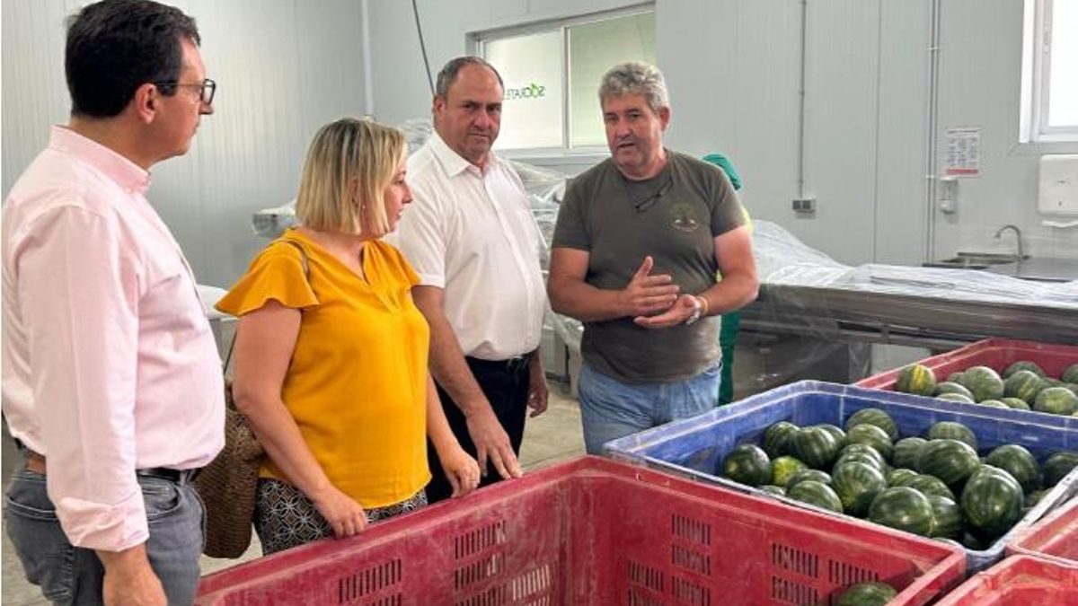 Lizán reconoce que el melón y la sandía están dejando "bajos precios" para los agricultores de Castilla-La Mancha en 2025