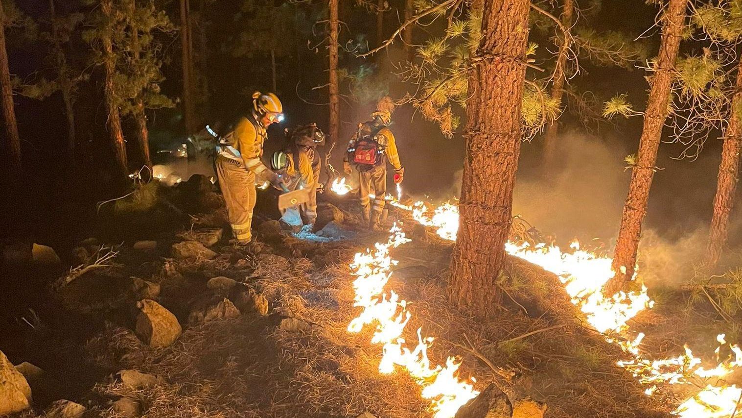 Trabajos contra el incendio de Arico realizados durante la noche, centrado en el ataque directo al fuego con herramienta manual y la creación de líneas de defensa.