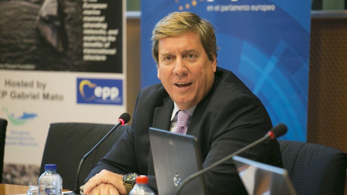 Gabriel Mato, eurodiputado del PP.