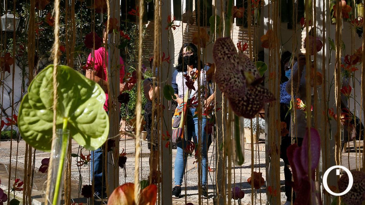 Instalación de Flora 2021 en el Palacio de Viana