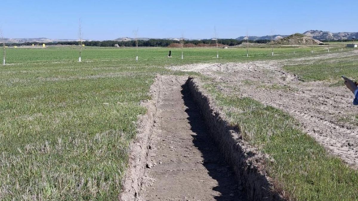 Una guerra burocrática paraliza las excavaciones en el yacimiento de Pintia: “El alcalde nos trató como delincuentes”