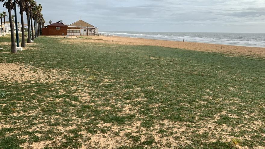 Hierba en una playa de Huelva, entre recurso turístico y capricho de la naturaleza