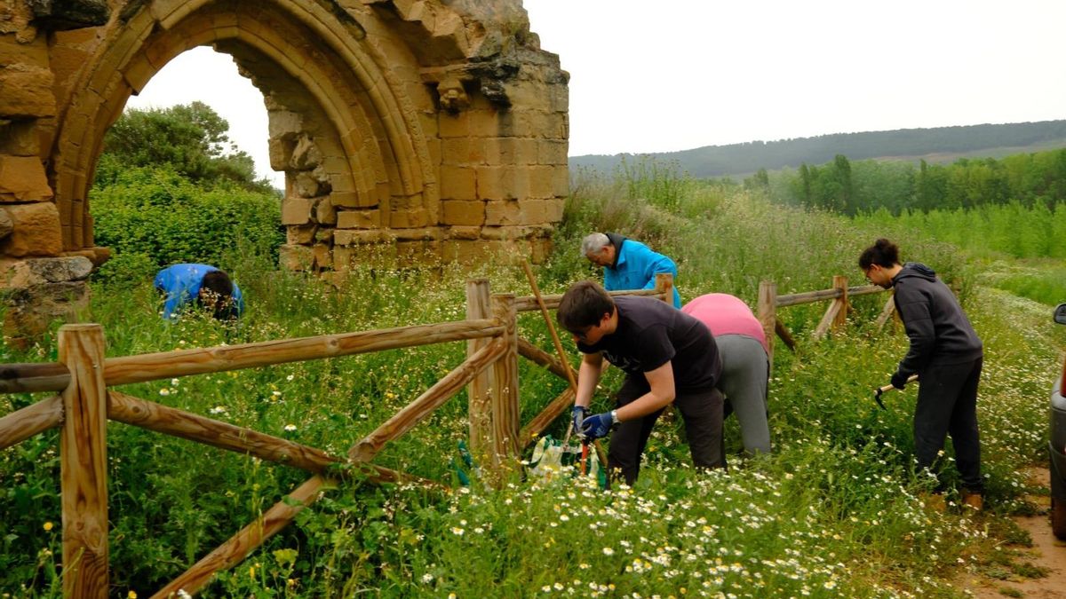 Veredas organizadas por Rioxa Nostra