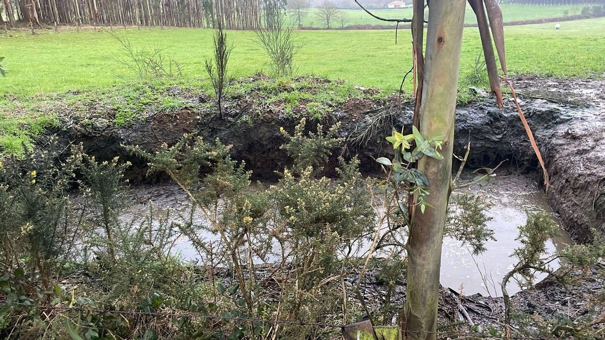 Vecinos y ecologistas denuncian vertidos de lodos de depuradora sin tratar en fincas del interior de Pontevedra