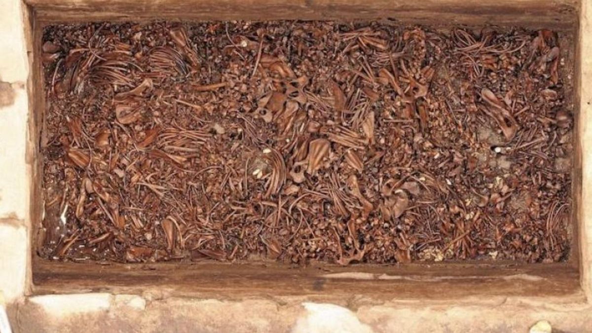 Las excavaciones recientes confirmaron que el zoológico existió de verdad