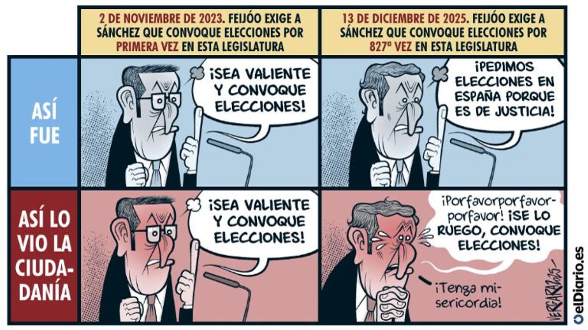 Elecciones anticipadas