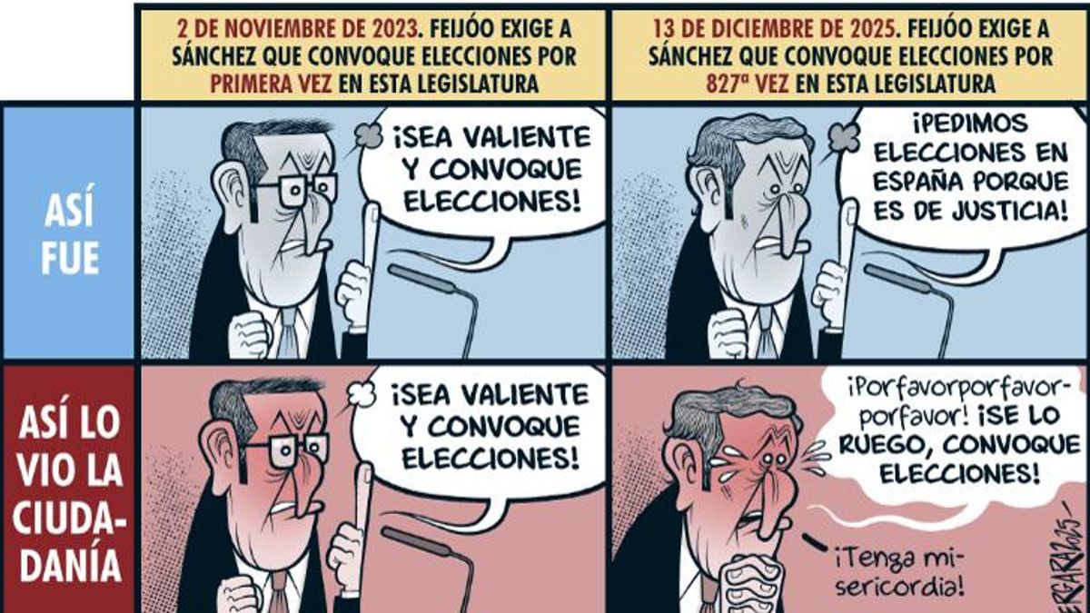 Elecciones anticipadas