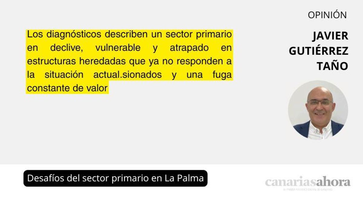 Desafíos del sector primario en La Palma