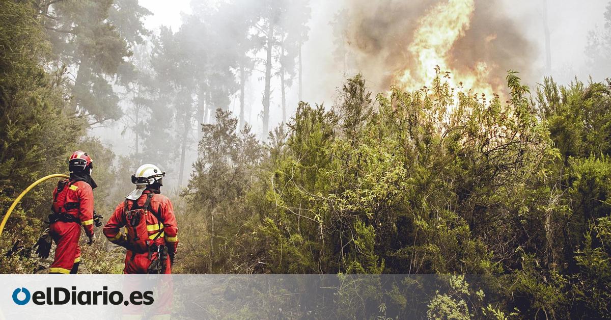 Antes de cada gran incendio forestal en Canarias, un patrón atmosférico alerta de lo que puede pasar