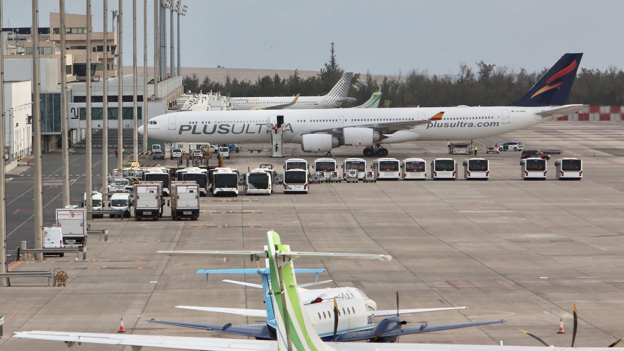 Un avión procedente de China con material sanitario en Gran Canaria (Alejandro Ramos)