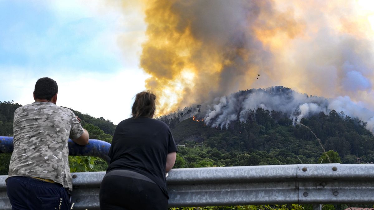 El incendio declarado en el concejo asturiano de Grado lleva arrasadas 65 hectáreas