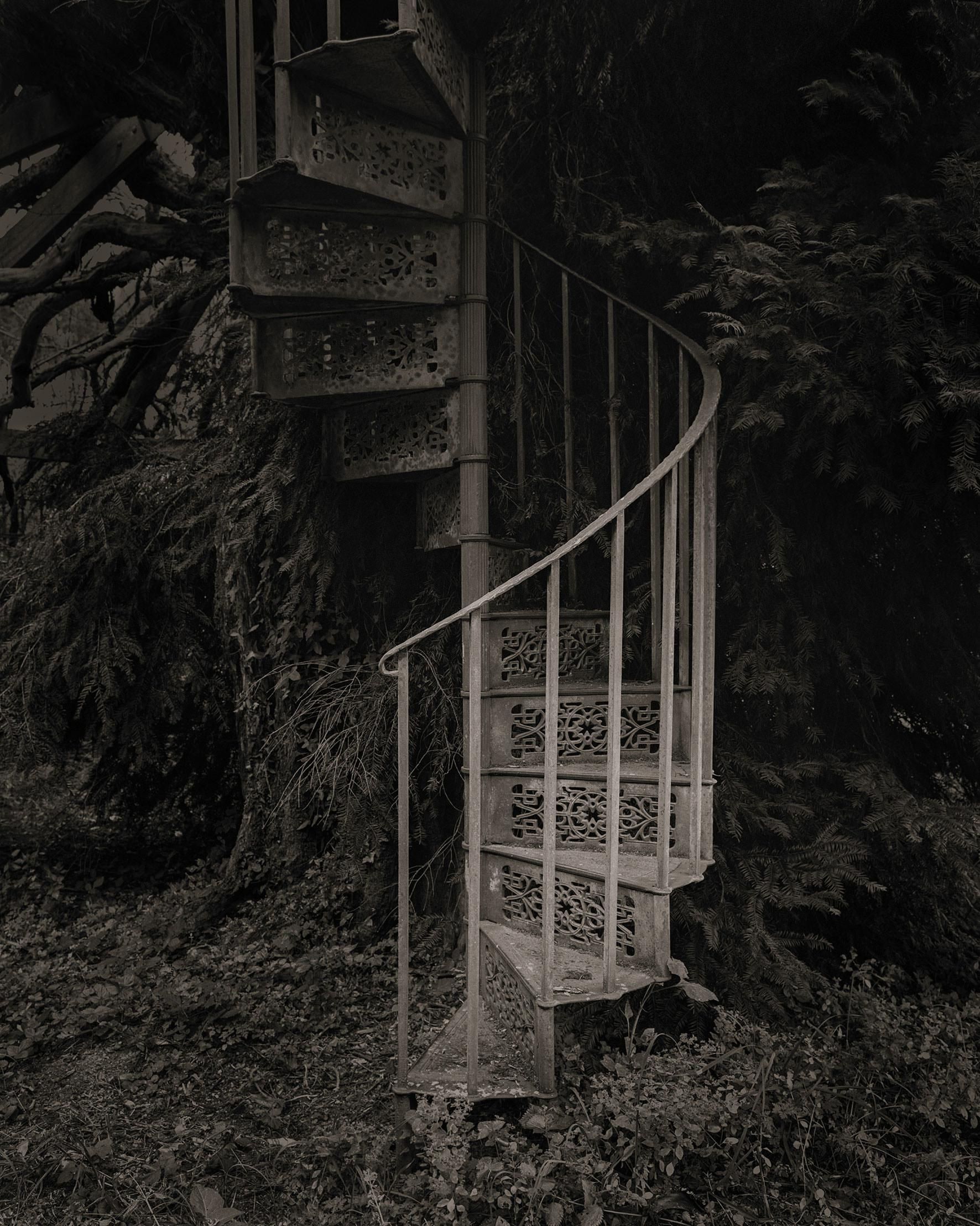 Imagen del proyecto 'Transcurso', que analiza la fugacidad del tiempo y la caducidad humana