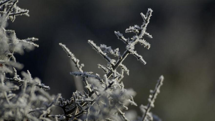 Andalucía afronta la semana más fría del año con mínimas de hasta ocho grados bajo cero