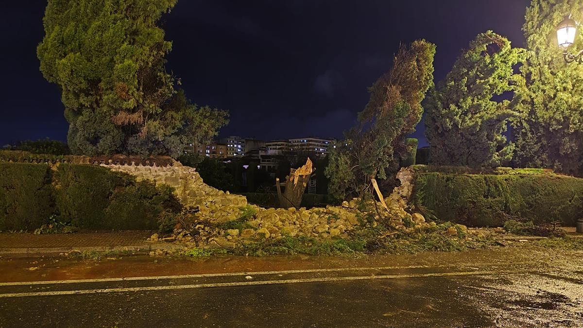 Imagen de archivo de la caída de un muro en Caballerizas Reales a causa del temporal.