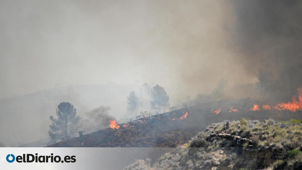 La oposición exige a la Junta explicaciones sobre las tres horas que tardó en activar el plan de evacuación en el incendio mortal de Almería