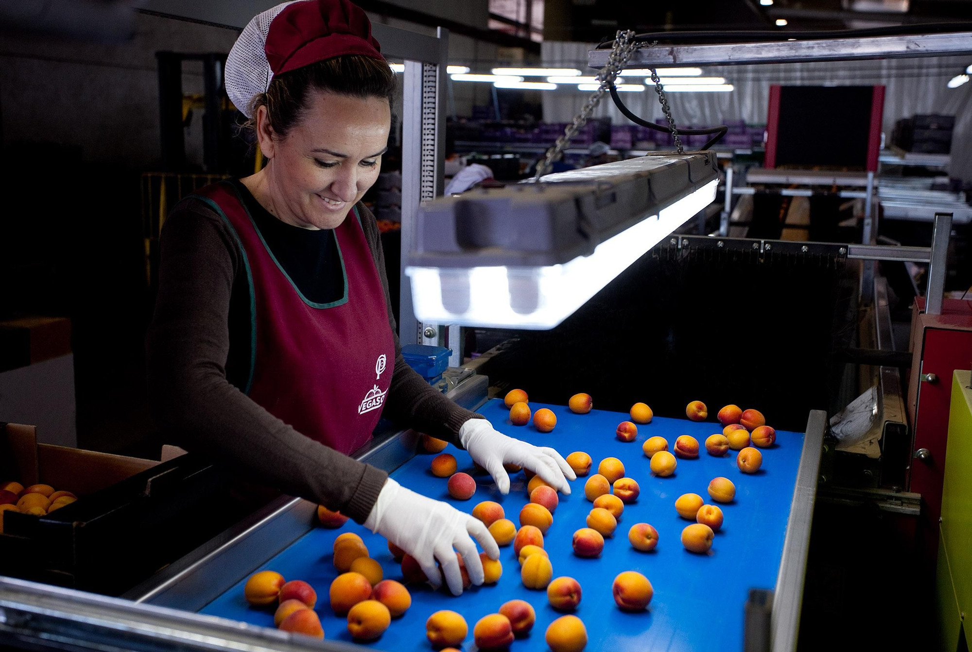 La fruta de hueso es una fruta muy delicada