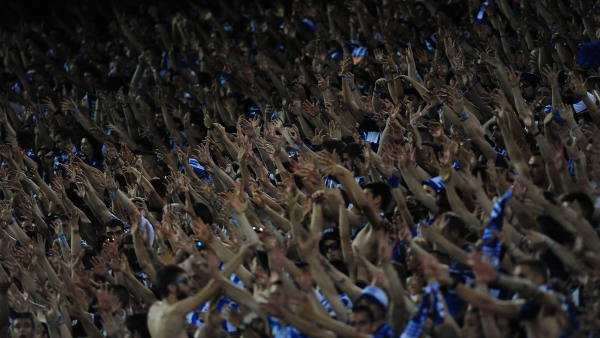 Antiviolencia propone la clausura del estadio de Mendizorroza durante un mes y una multa al Alavés de 60.000 euros