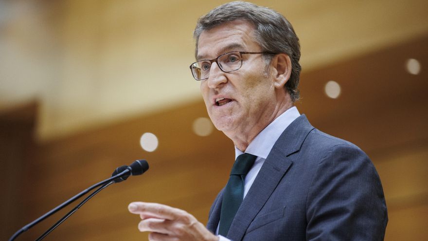 El presidente del Partido Popular, Alberto Núñez Feijóo.