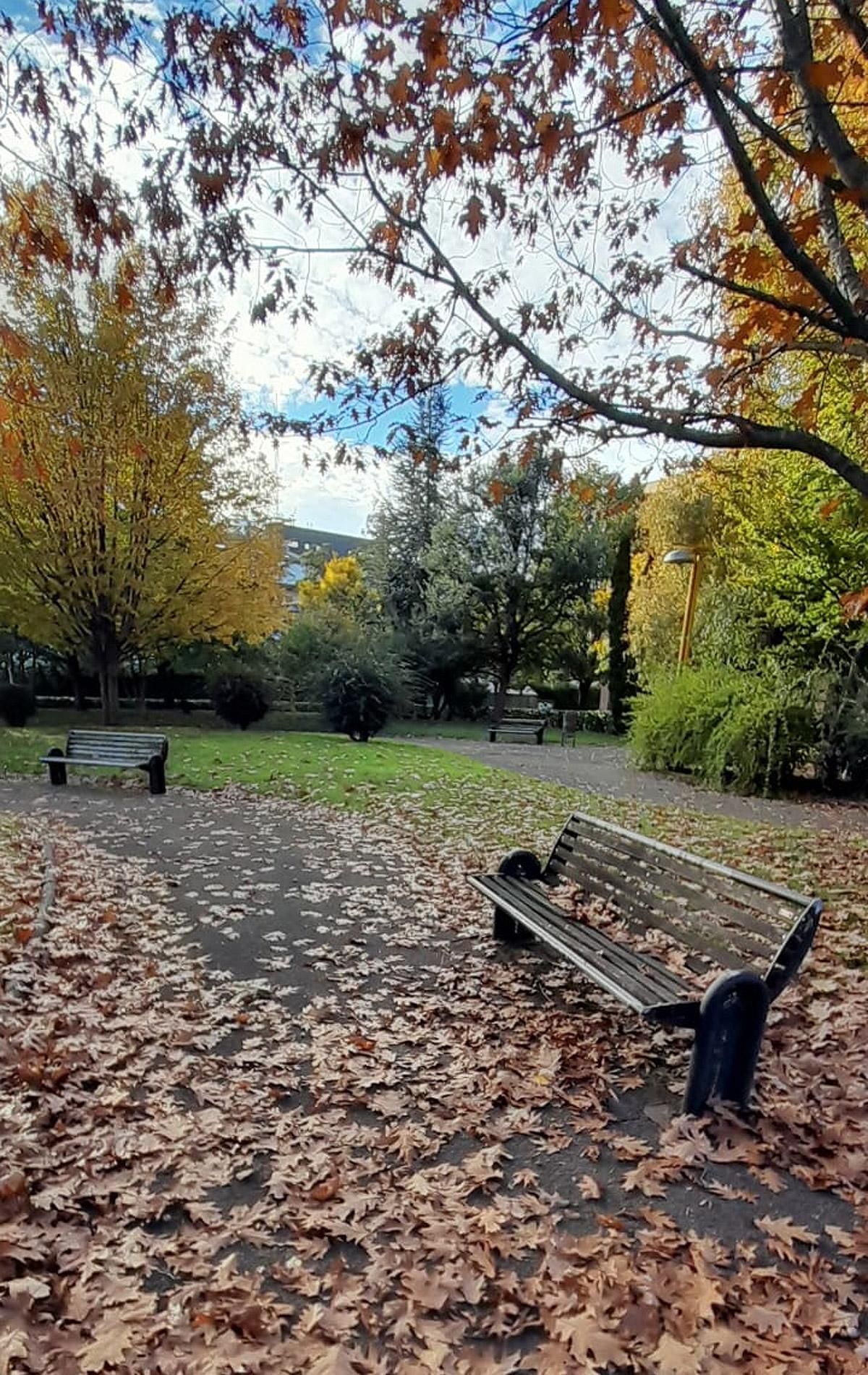 Otra vista del Parque de Gutiérrez Mellado en Eras con las hojas caducas de otoño.