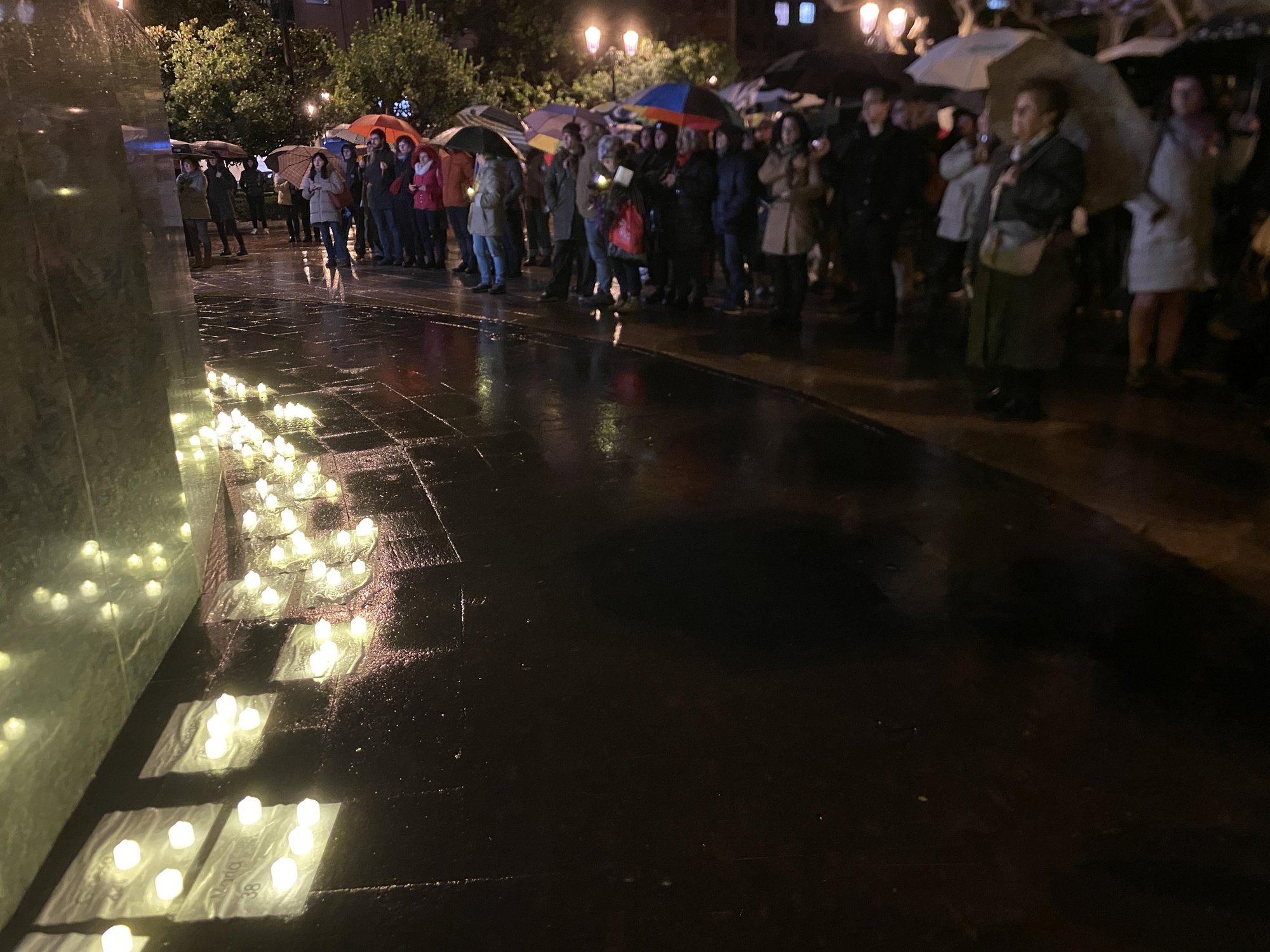 La lluvia no calla el grito feminista contra la violencia de género en Logroño