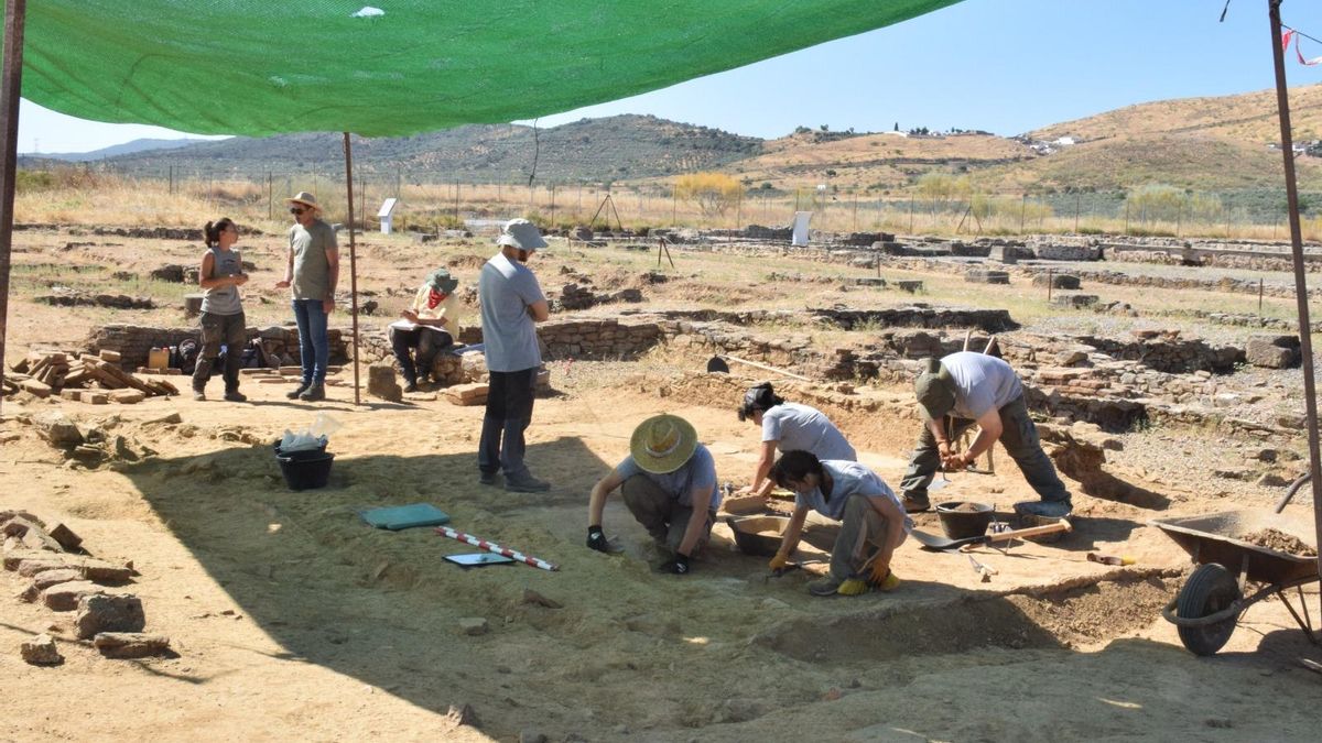 Jóvenes arqueólogos excavan la zona del mercado y las termas en el yacimiento romano de Regina