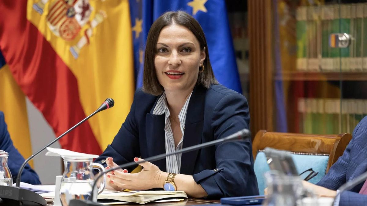 La consejera de Universidades, Ciencia e Innovación y Cultura, Migdalia Machín, comparece en comisión parlamentaria para hablar sobre las líneas estratégicas a desarrollar en esta legislatura. EFE/Miguel Barreto
