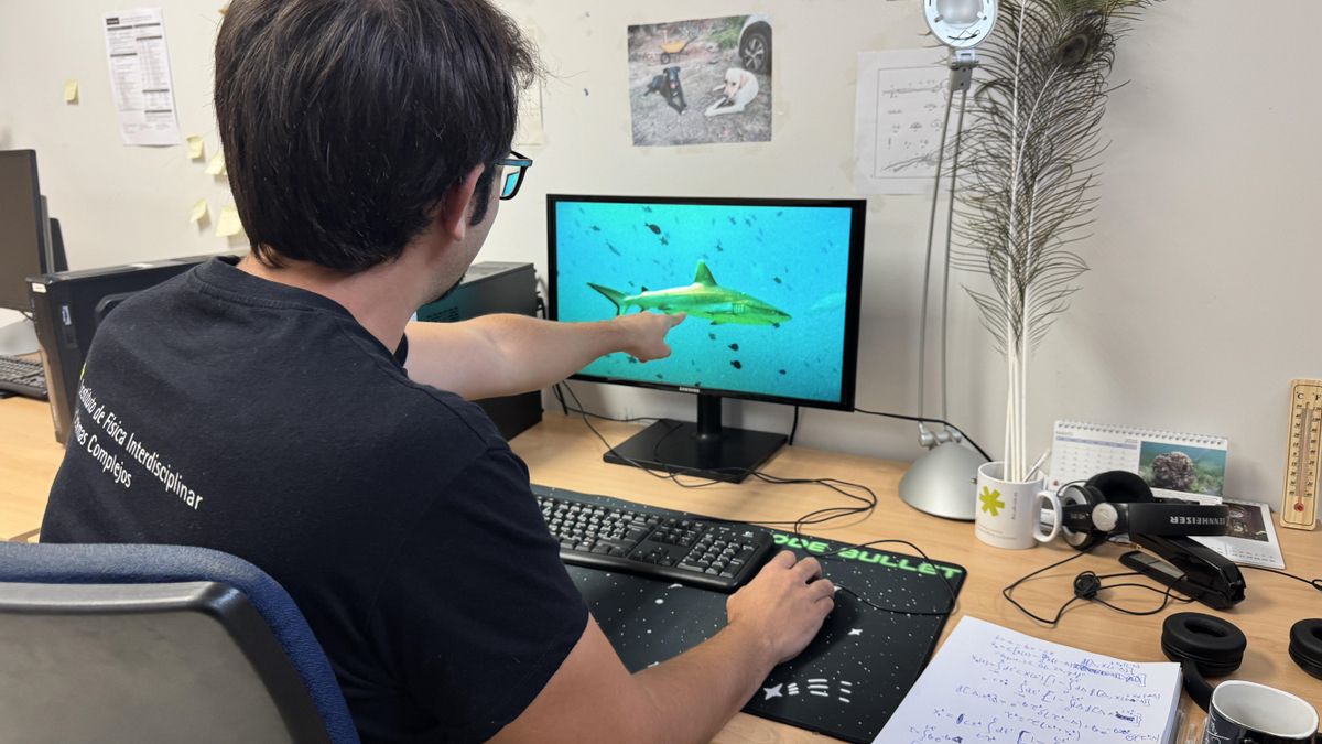 Un investigador de l'IFISC observa un dels esquàlids.