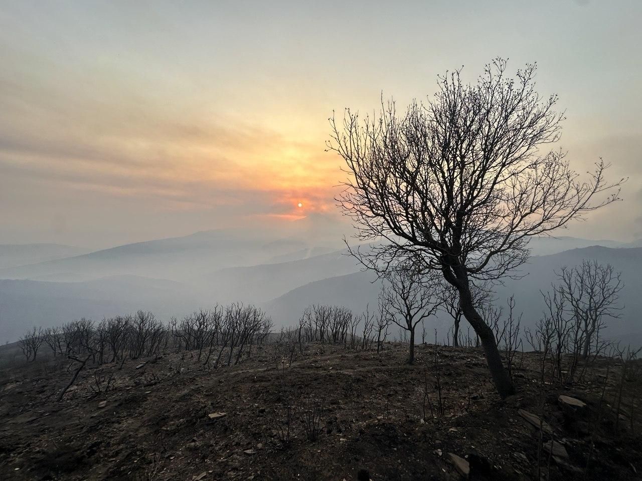 Desolación en Las Médulas tras los incendios forestales
