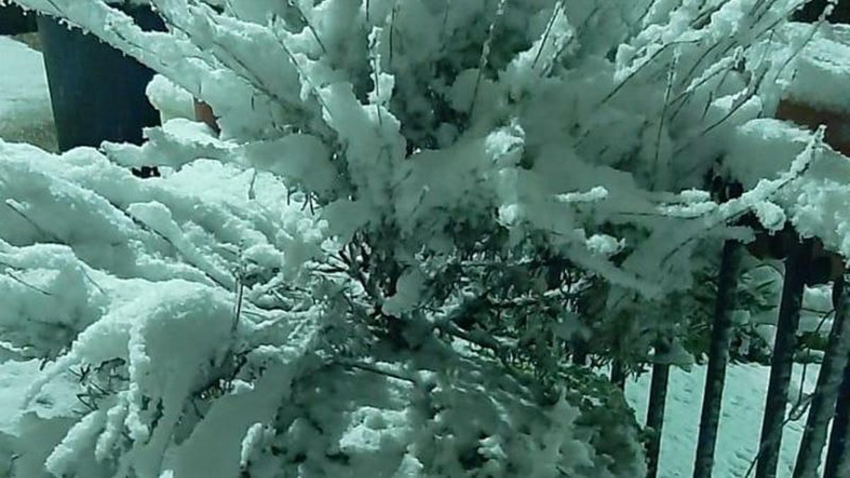 Nieve en el Nieva de Cameros