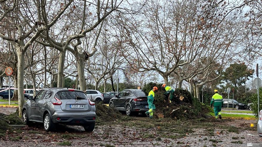 VÍDEOS | Incidencias del temporal en Córdoba