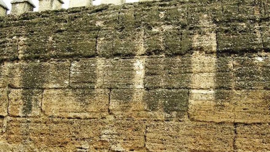 Las murallas de tapial pueden ser tan potentes como la de Sevilla. Foto: Canivell y Graciani.