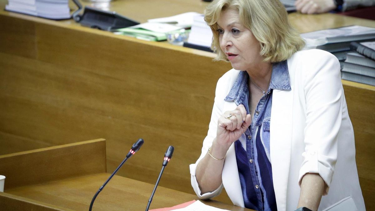 La diputada socialista Marisa Navarro.