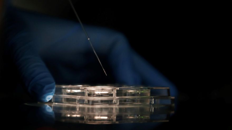 Una terapia génica experimental logra prolongar la vida de niños con un trastorno raro