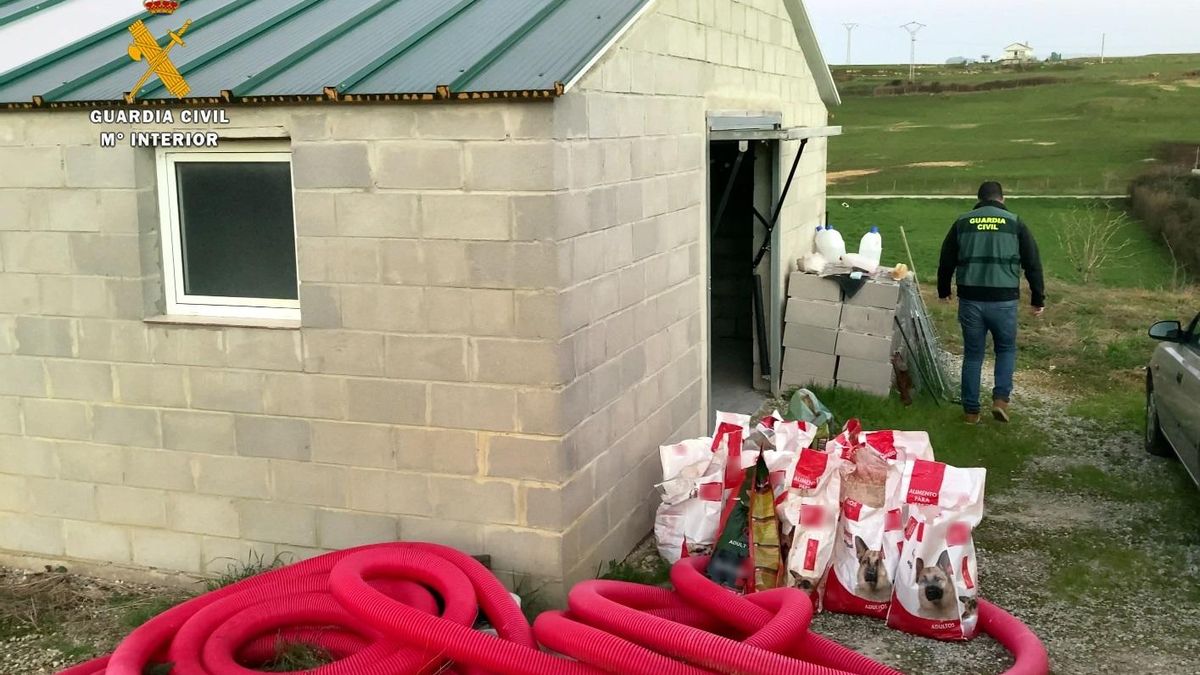 Nave de Tagle donde encontraron los perros abandonados.