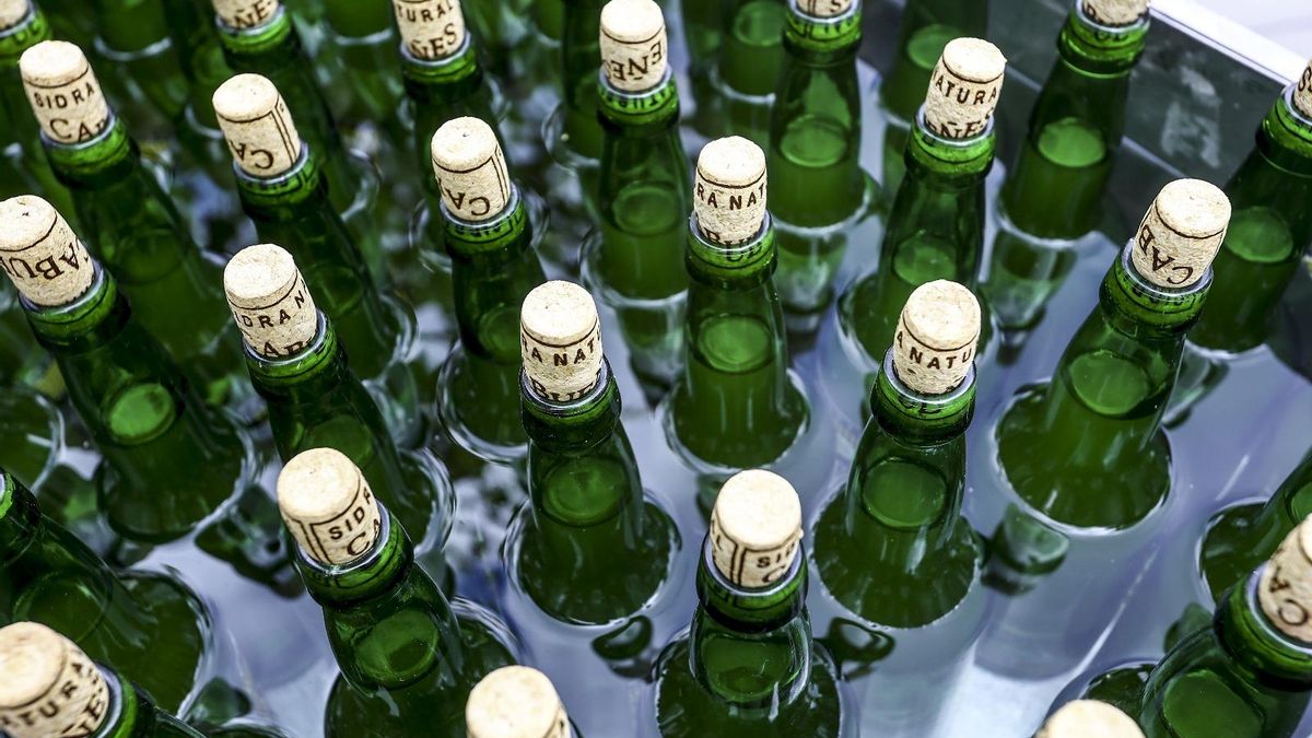 El diccionario es un compendio de expresiones, refranes y léxico que gira en torno a la cultura sidrera.