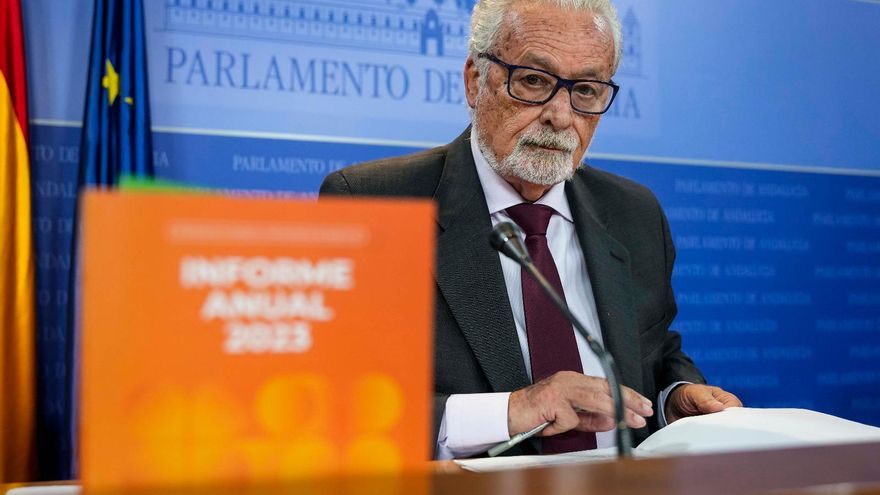 Andalucía se demora en la creación de un registro de menores en riesgo y desamparo previsto en la ley de 2021