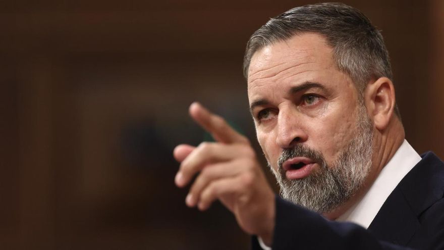 El líder de Vox, Santiago Abascal, durante una intervención en el Congreso.
