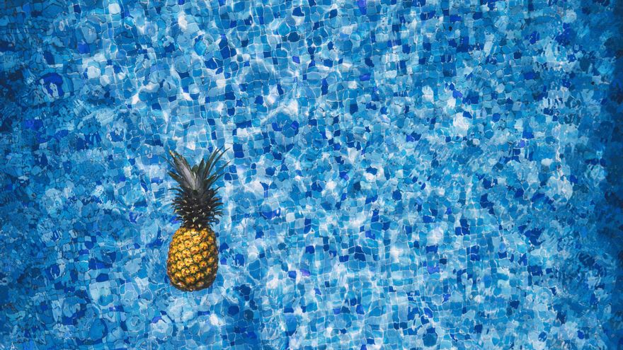 Llegó a ser un símbolo de estatus y fue Cristobal Colón quien la trajo a Europa: la curiosa historia de la piña